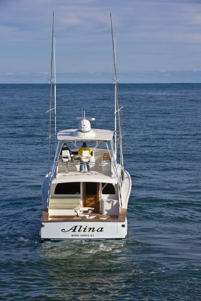 Alina 111