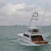 FULLTIME-EMM-229